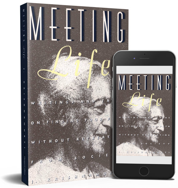 Meeting Life